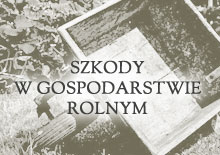 szkody w gospodarstwie rolnym