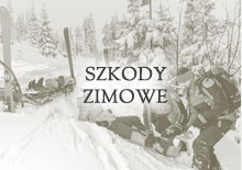 szkody zimowe